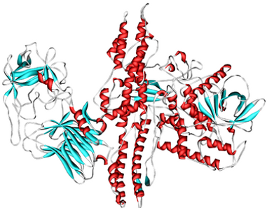 Illustration for article titled 10 of the Deadliest Proteins on Earth